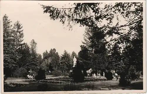 Postcard Polen Polska Polen Polska Parkanlage 1961