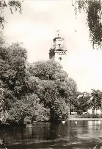 Ansichtskarte Altenburg Kleiner Teich mit Kunstturm 1976