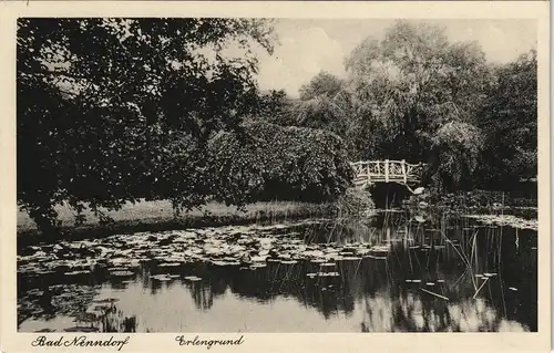 Ansichtskarte Bad Nenndorf Brücke - Erlengrund 1925