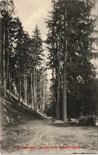 Ansichtskarte Schwarzburg Waldpartie am Schweizerhaus-Schwarzatal 1910