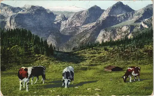 Ansichtskarte  Reklame & Werbung Germix Schokolade - Kühe Alpen 1922