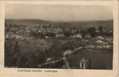 Salzburg (Lothringen) Château-Salins Stadtpartie - Lorraine Lothringen 1918
