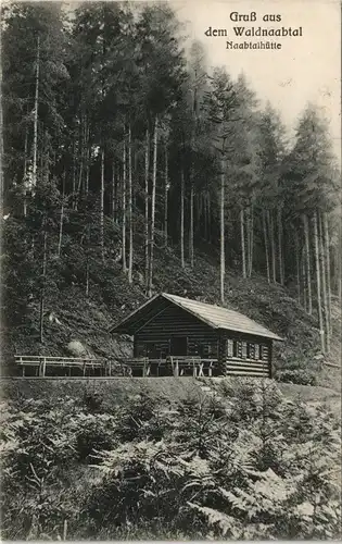 Ansichtskarte Falkenberg (Oberpfalz) Waldnaabtal - Waldnaabhütte´ 1907