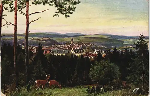 Ansichtskarte Bad Wildungen Totale - Künstlerkarte 1913