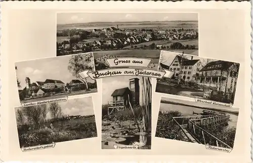 Bad Buchau Mehrbild-AK mit Caritas Kinderheilstätten, Vogelwarte uvm. 1950