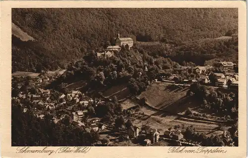 Ansichtskarte Schwarzburg Panorama-Ansicht Blick vom Trippstein 1925