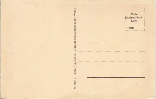 Ansichtskarte Schwarzburg Panorama-Ansicht Blick vom Trippstein 1925
