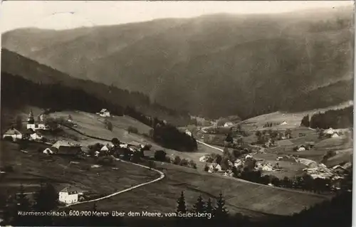 Ansichtskarte Warmensteinach Blick vom Geiersberg 1935