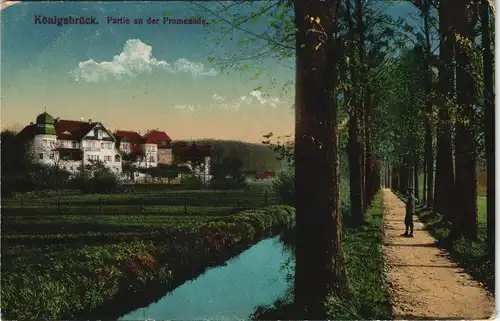 Ansichtskarte Königsbrück Kinspork Partie an dee Promenade 1917