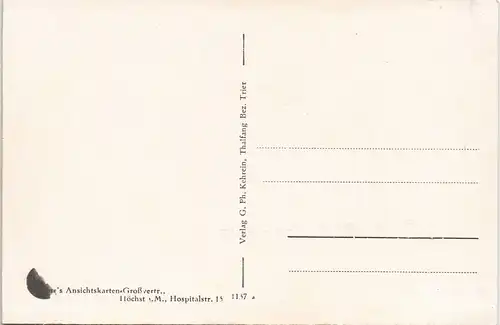 Ansichtskarte Thalfang Stadtpartie 1923