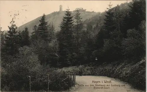 Hagen (Westfalen) Partie aus dem Stadtwald mit Goldberg und Bismarck-Säule 1914