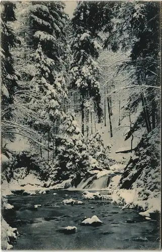 Loschwitz-Dresden Großer Wasserfall im Winter Dresdner Heide 1914