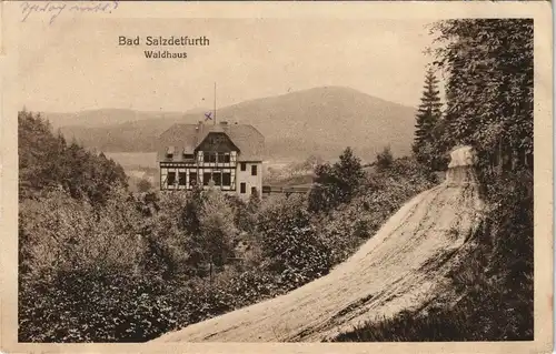 Ansichtskarte Bad Salzdetfurth Partie am Waldhaus gel. Bahnpost 1917