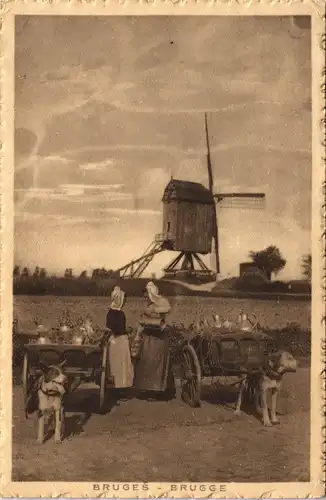Brügge Brugge | Bruges Windmühle, Melkwagen - Frauen Hunde 12029