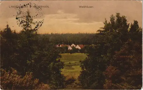 Ansichtskarte Langenleuba-Oberhain Waldhäuser 1912