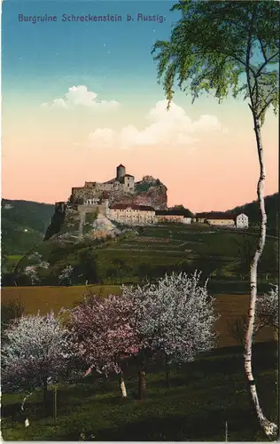 Schreckenstein (Elbe)-Aussig Střekov (Laben) Ústí nad Labem (Ustji, Ustjiss) Burg Schreckenstein / Střekov 1915