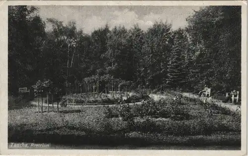 Ansichtskarte Taucha Rosarium 1940