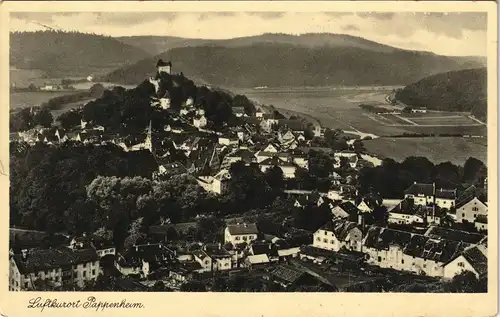 Ansichtskarte Pappenheim Totalansicht 1930
