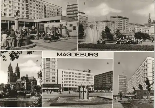 Magdeburg DDR Mehrbild-AK ua. Hotel, Ratswagenplatz, Dom uvm. 1983