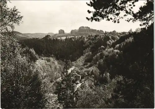 Kirnitzschtal-Sebnitz Sachsen Kirnitzschtal Landschafts-Panorama DDR AK 1973