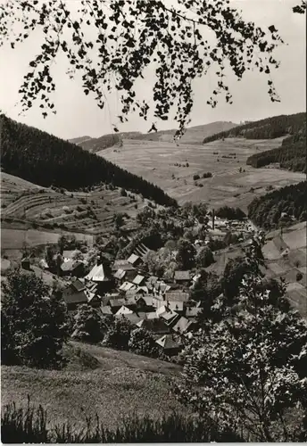 Ansichtskarte Gießübel-Schleusegrund Panorama-Ansicht DDR AK 1981/1980