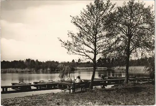 Ansichtskarte Blossin-Heidesee Urlauberdorf Blossin See Partie, DDR AK 1967