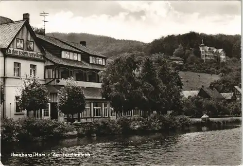 Ansichtskarte Ilsenburg (Harz) Partie am Forellenteich DDR Ansicht AK 1980