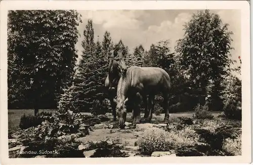 Ansichtskarte Spandau-Berlin Parkanlage Südpark mit Pferde Denkmal 1942