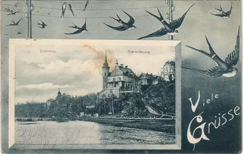 Ansichtskarte Grimma Gattersburg - Schwalben 1906 Passepartout
