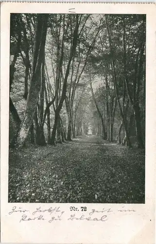 Ansichtskarte  Feldpostkarte 1. WK Landschaft Wald-Idylle (Ort unbekannt) 1915