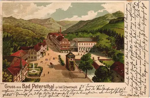 Ansichtskarte Bad Peterstal-Griesbach Litho AK - Straßenpartie 1904