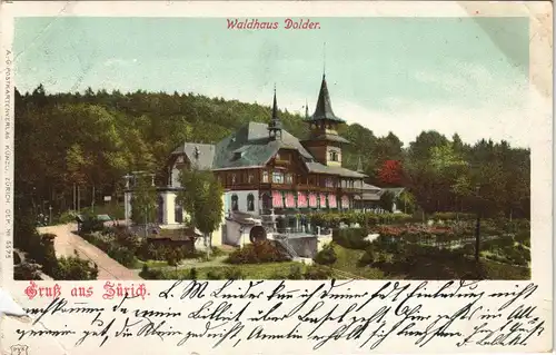 Ansichtskarte Zürich Waldhaus Dolder 1902