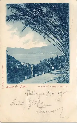 Cartoline Como PALMIZI NELLA VILLA SERBELLONI. 1900