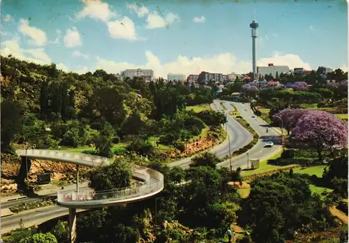Johannesburg Street View w/ "The Wilds" only South African wild flowers 1980