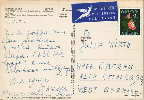 Johannesburg Street View w/ "The Wilds" only South African wild flowers 1980