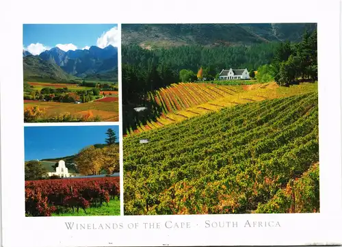 Südafrika WINELANDS OF THE CAPE SOUTH AFRICA Wein-Anbau Gebiet 2007