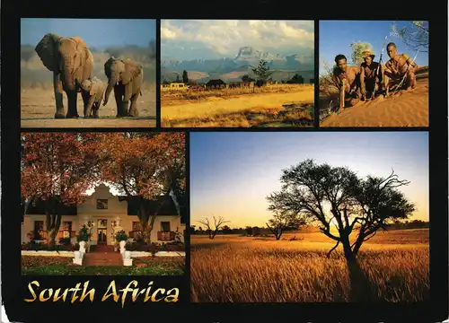 Postcard Südafrika South Africa Mehrbild-AK Landschaft & Elefanten 2004