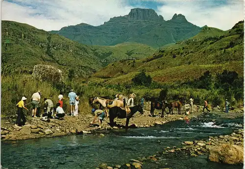 Südafrika DRAKENSBERG Pony-trekking Cathkin Peak and Sterkhorn gaze 1970