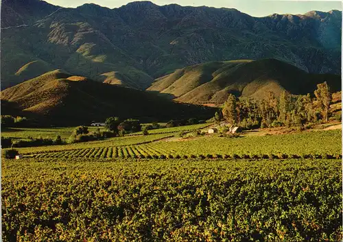 Südafrika Weinberge South Africa Landschaft Mont Blois Robertson 1980