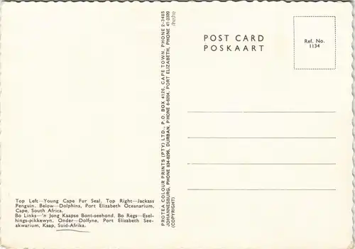 Port Elizabeth Oceanarium Dolphins, Seal, Penguin (Delfine, Pinguin) 1975