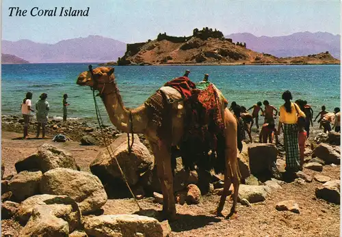 Eilat אילת Israel allgemein The Coral Island Jizirat Faraoun Gulf of Eilat 1970