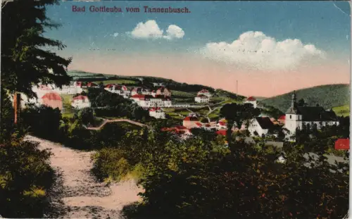 Ansichtskarte  Bad Gottleuba Berggießhübel Stadt - Tannenbusch 1932 #