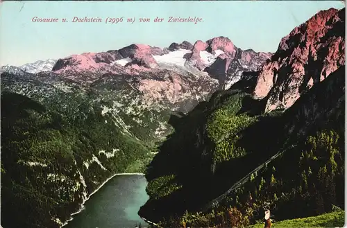 Gosau Gosausee u. Dachstein (2996 m) v.d. Zwieselalpe Alpen Berge 1906