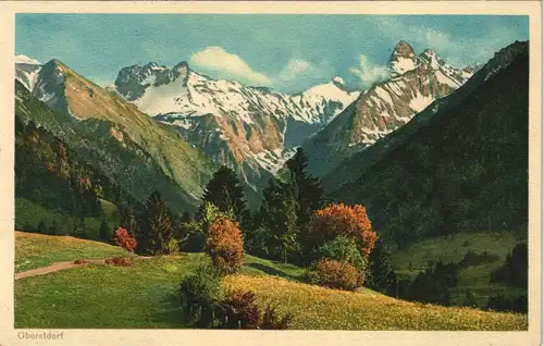 Ansichtskarte Oberstdorf (Allgäu) Panorama Blick ins Spielmannsautal 1930