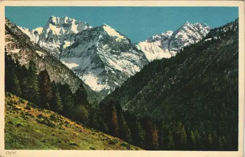 Oberstdorf (Allgäu) Umland-Ansicht Blick ins Oytal Berg-Panorama 1930