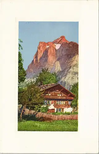 Grindelwald Wetterhorn Schweizer Traditionshaus Berg Landschaft 1920