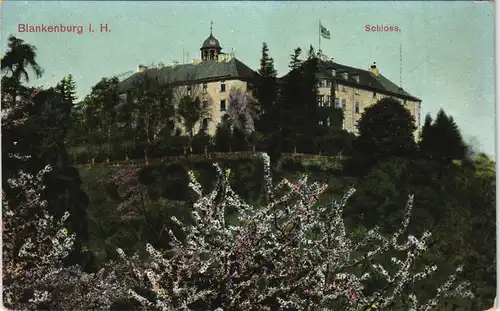 Blankenburg (Harz) Schloss Blankenburg Color Gesamtansicht (Castle) 1906