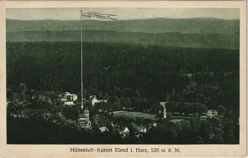 Ansichtskarte Elend (Harz) Panorama-Ansicht Partie am Hotel St. Hubertus 1927