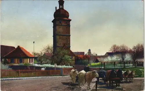 Ansichtskarte Dinkelsbühl Pferde Gespanne vor dem Segringer Tor 1910