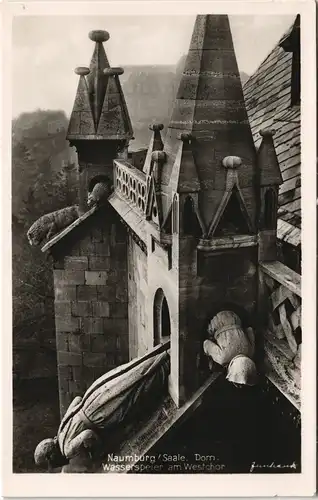 Naumburg (Saale) Naumburg/Saale Dom Wasserspeier am Westchor 1940